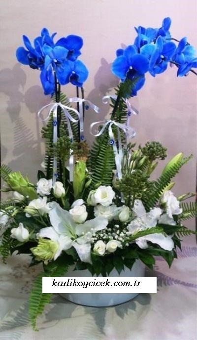 Mavi Orkideli Aranjman