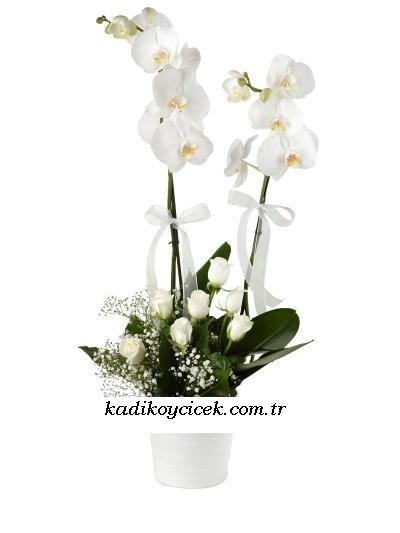 çift Dallı Beyaz Orkide ve 7 Beyaz Gül