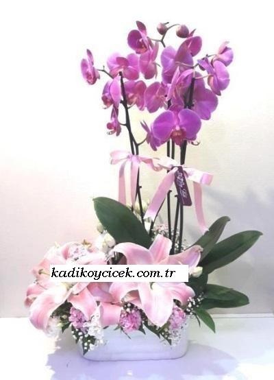 Pembe Orkideli Aranjman