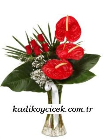  Kırmızı Güzellik