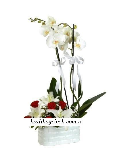 orkideli aranjman